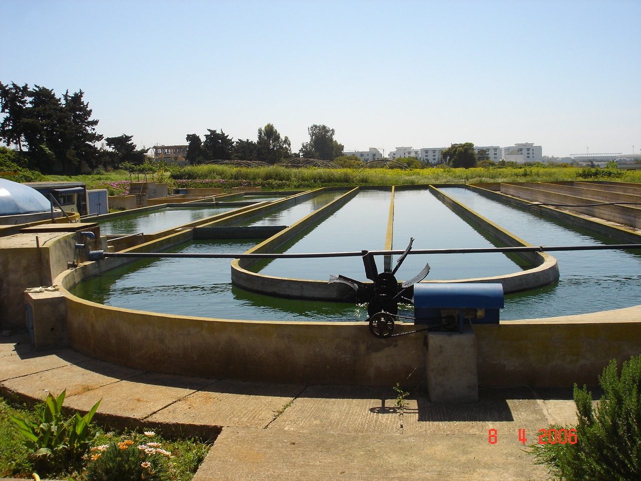 microalgae-and-wastewater-treatment